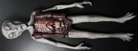 Alien Autopsy 4 Foot Tall Latex Foam Filled Prop