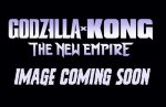 Godzilla x Kong 2024 Godzilla Magnet Monster Ichibansho Zakka by Bandai Japan