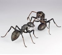 Revoltech Black Carpenter Ants Set Of 2 By Kaiyodo