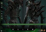 Alien 1979 Big Chap Xenomorph 1/6 Scale Figure by Hot Toys