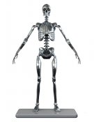 Mark I Stainless Steel Endoskeleton 1/6 Scale Figure by Molecule8