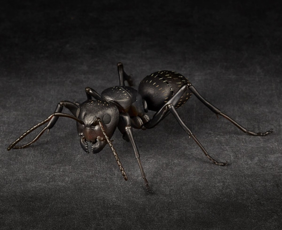 Revoltech Black Carpenter Ants Set Of 2 By Kaiyodo - Click Image to Close