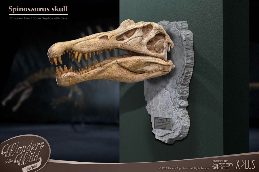 Spinosaurus Head Skull Scaled Replica Statue by Star Ace - Click Image to Close