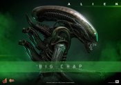 Alien 1979 Big Chap Xenomorph 1/6 Scale Figure by Hot Toys