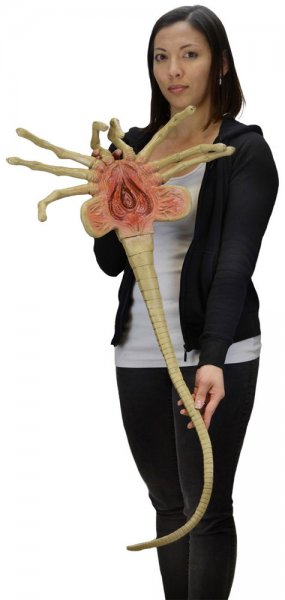 Aliens Life-Size Facehugger Foam Prop Replica