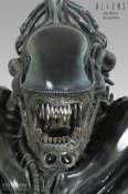 Aliens Life Size Alien Warrior Bust 1/1 Scale by Sideshow Stan Winston