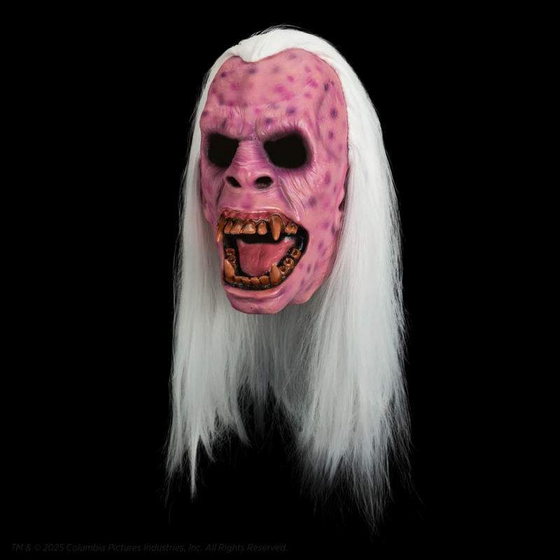Ghostbusters 1984 Library Ghost Collector's Mask - Click Image to Close