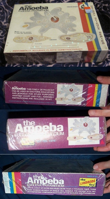 Amoeba, Euglena & Paramecium Lindberg Re-Issue Model Kit by Atlantis - Click Image to Close