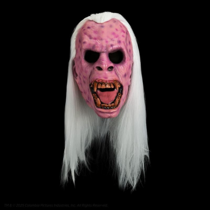 Ghostbusters 1984 Library Ghost Collector's Mask - Click Image to Close