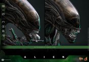 Alien 1979 Big Chap Xenomorph 1/6 Scale Figure by Hot Toys