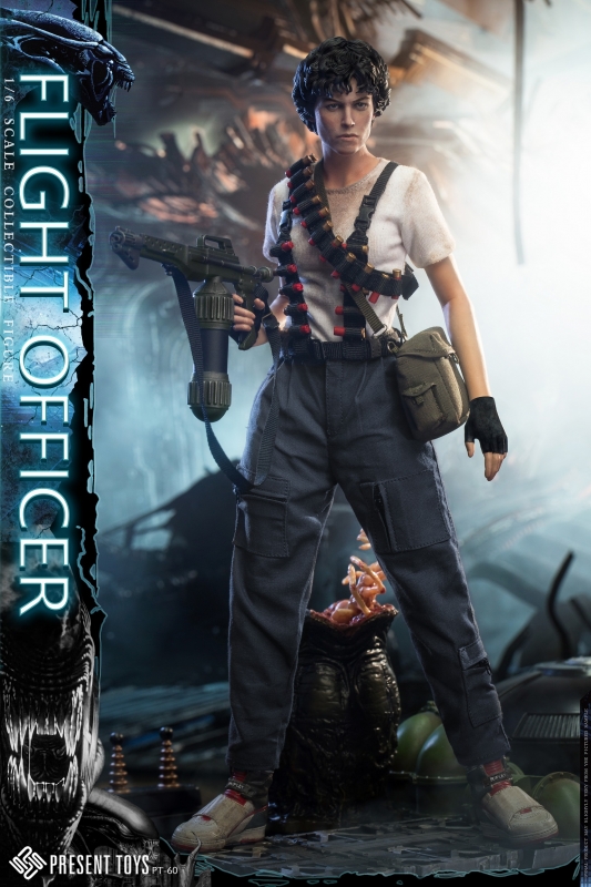 Flight Officer 1/6 Scale Collectible Figure Present Toys PT-60 - Click Image to Close