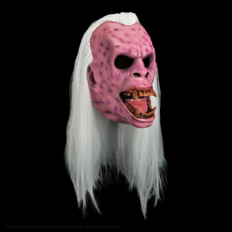 Ghostbusters 1984 Library Ghost Collector's Mask - Click Image to Close
