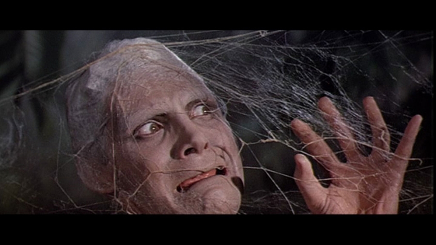 Fly In Web 1958 Radiation Theatre Resin Model Kit - Click Image to Close