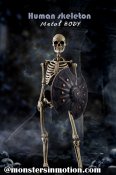 Human Skeleton 1/6 Scale Diecast Metal Body by Coo