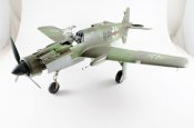 Dornier 335B-2 Zerstorer 1/32 Scale Model Kit by HK Models