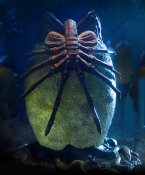 Alien Egg Light Up Statue
