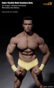 Male Body Seamless 1/6 Scale Super Flexible Muscular Version by Phicen