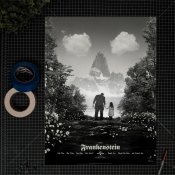 Frankenstein Movie Poster Limited To 250 Pieces Boris Karloff Universal Monsters