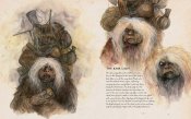 Jim Henson's Labyrinth: Bestiary: A Definitive Guide HC Book