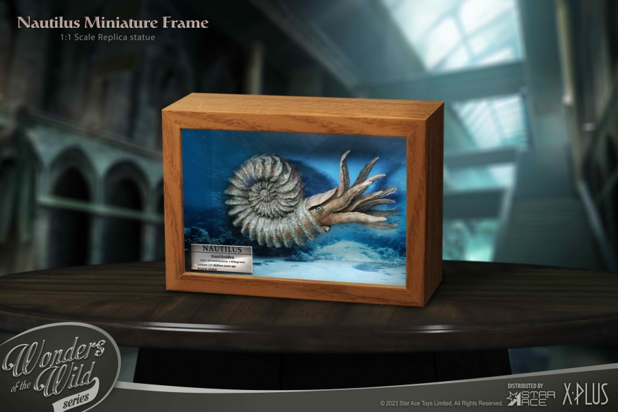 Nautilus Wonders of the Wild Series Miniature Frame w/ 1:1 Scale Replica (Normal Ver.) - Click Image to Close