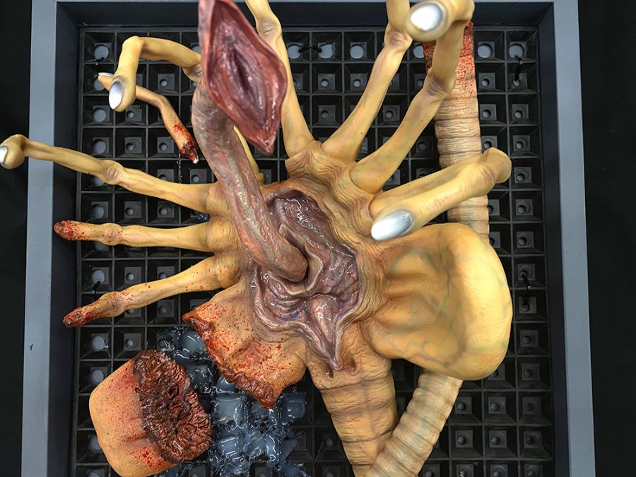 Alien Damaged Facehugger Wall Hanger 1/1 Scale Replica Art Piece - Click Image to Close