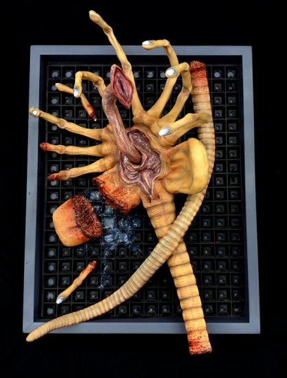 Alien Damaged Facehugger Wall Hanger 1/1 Scale Replica Art