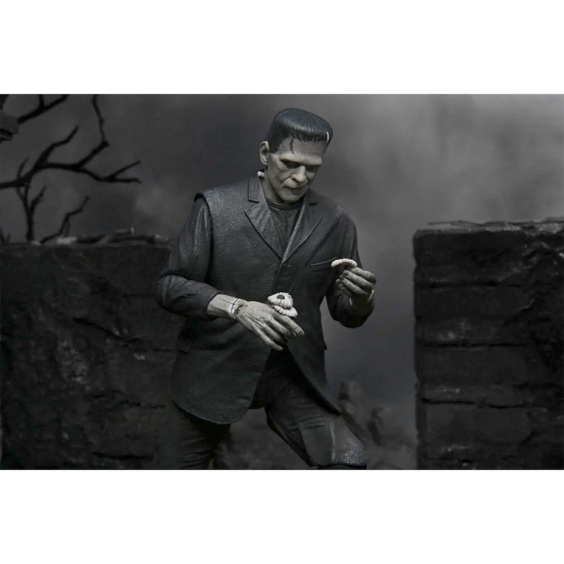 Frankenstein Boris Karloff Ultimate 7 Inch Scale Universal Monsters Action Figure (B&W Version) by Neca - Click Image to Close