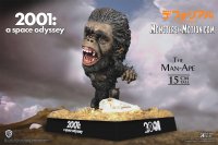 2001: A Space Odyssey Defo-Real 2.0 Man-Ape with New Base 6" Figure by Star Ace