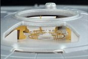 Star Trek Discovery Enterprise NCC-1701 1/1000 Scale Bridge Detail Set for Model Kit by Polar Lights