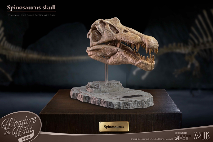 Spinosaurus Head Skull Scaled Replica Statue by Star Ace - Click Image to Close