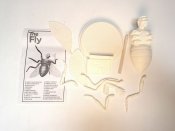 Fly In Web 1958 Radiation Theatre Resin Model Kit