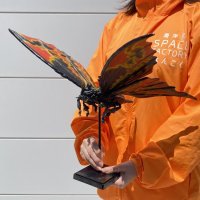 Godzilla vs. Mothra Middle Battra Adult Model Kit By Kaiyodo