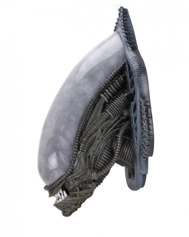 Alien Xenomorph Life-Size Foam Replica Wall-Mounted Bust - Click Image to Close