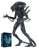 Aliens Ultimate Alien Warrior BLUE Version 7" Scale Action Figure