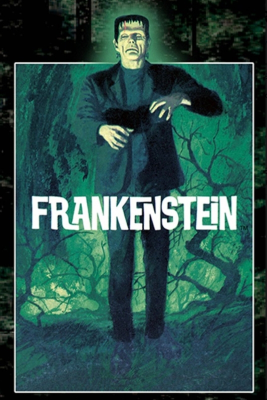 Monster Scenes Frankenstein Model Kit Re-Issue #633 - Click Image to Close
