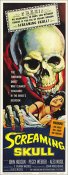 Screaming Skull 1958 Repro Insert Movie Poster 14X36