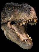 T-REX (open jaw) - Life-size Collectible Statue