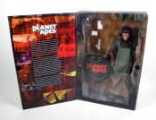 Planet of the Apes 1/6 Scale Figures Set of 5 Series One by Sideshow
