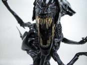 Alien Queen 1/4 Scale Bust by Sideshow