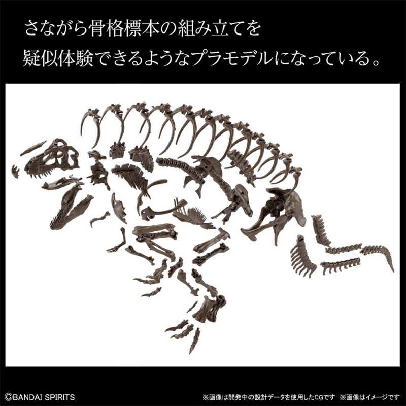 T-Rex Tyrannosaurus Dinosaur Skeleton 1/32 Scale Model Kit by Bandai Japan - Click Image to Close