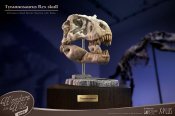 T-Rex Head Skull Scaled Replica Statue By Star Ace