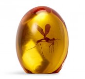 Jurassic Park Mosquito In Amber Resin Prop Replica