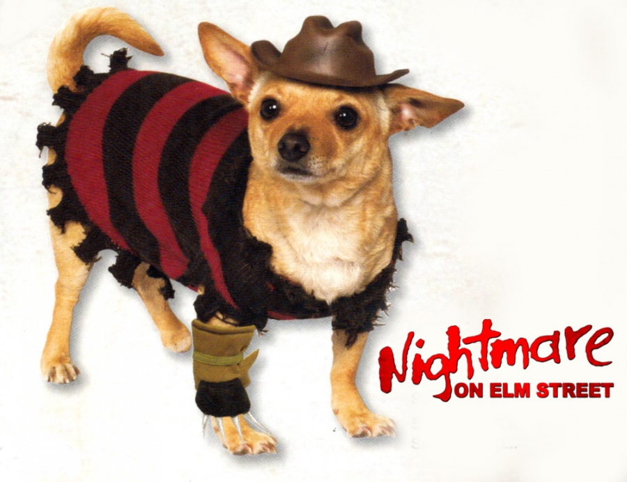 Nightmare on Elm Street Freddy Krueger Dog Costume - Click Image to Close