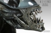 Aliens Life Size Alien Warrior Bust 1/1 Scale by Sideshow Stan Winston