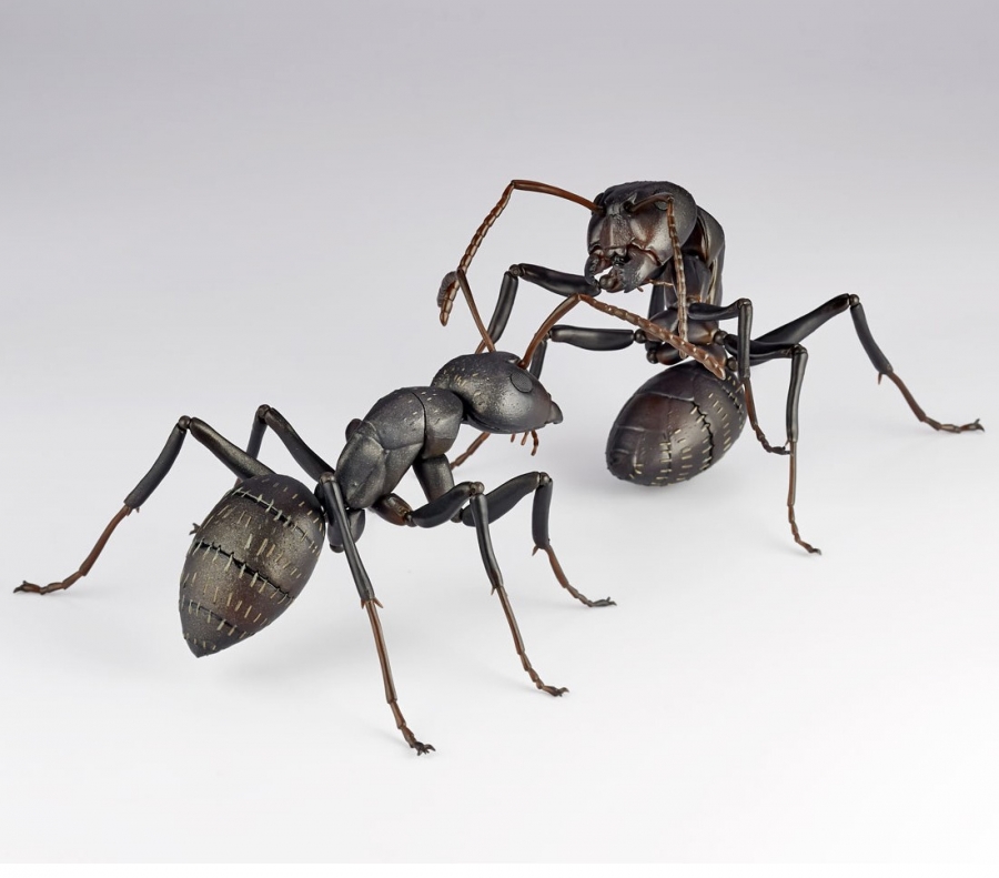 Revoltech Black Carpenter Ants Set Of 2 By Kaiyodo - Click Image to Close