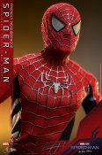 Spider-Man Friendly Neighborhood 1/6 Scale Figure by Hot Toys Toby Maguire