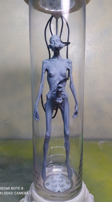 Woman In Tube EX 1/6 Scale Model Kit from Japan (Alien Inspired) - Click Image to Close