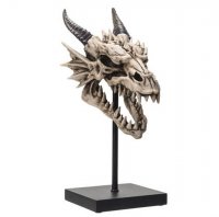 Dragon Skull Display