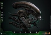 Alien 1979 Big Chap Xenomorph 1/6 Scale Figure by Hot Toys