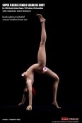 Female Body 1/6 Scale Super-Flexible Seamless 278mm Tall Tan/Medium Breast by Phicen [PL-MB2018-S25B]